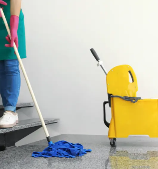 Janitorial & Regular Maintenance