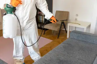 Pest Cleaning & Decontamination